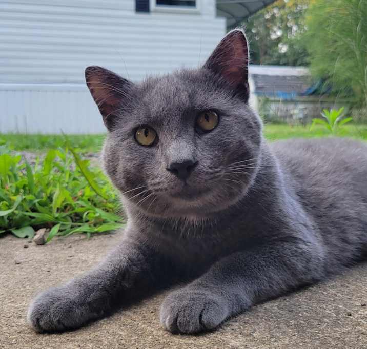 Photo of Smoky