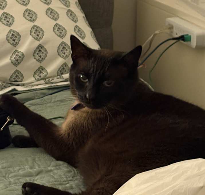 Photo of Mamas