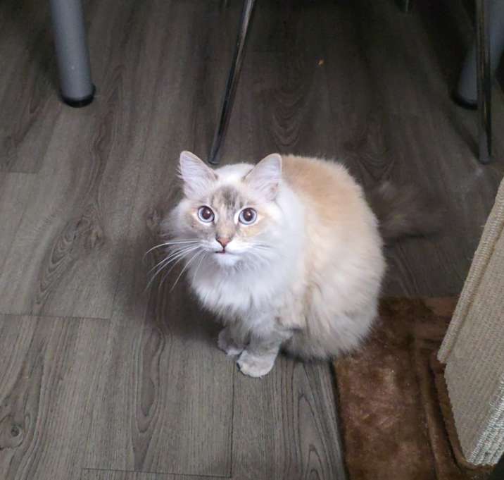 Photo of Rosie
