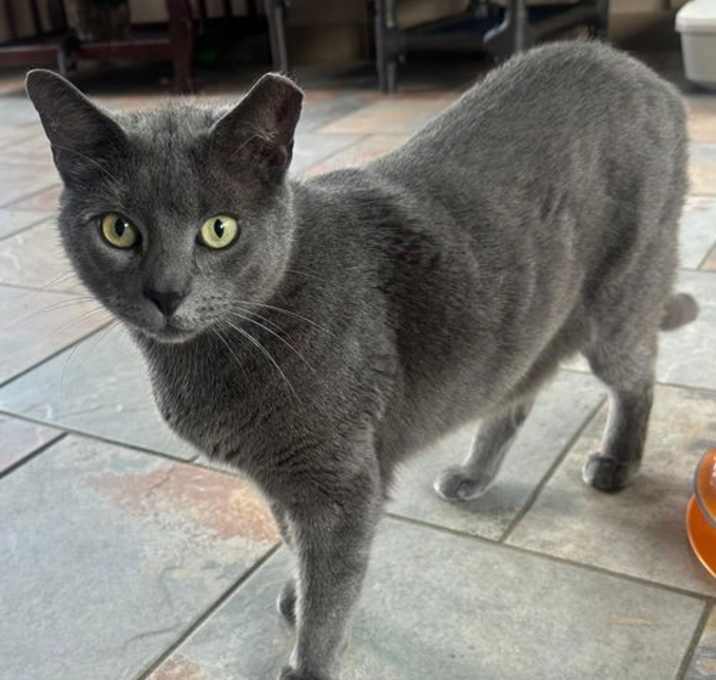 Photo of HEATHCLIFF