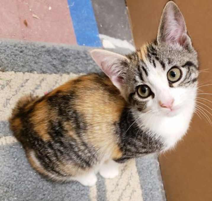 Photo of PHOEBE