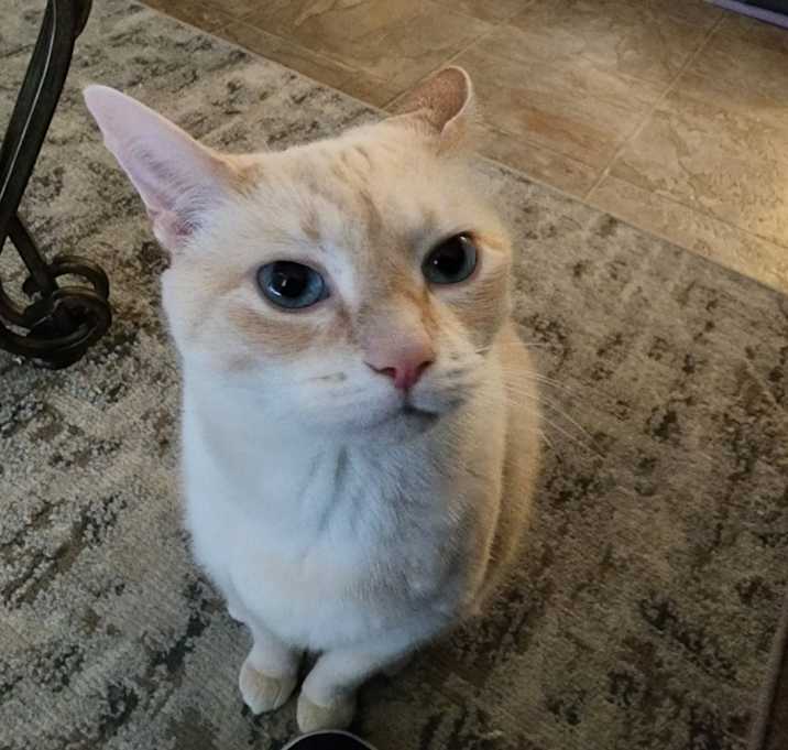 Photo of Noelle