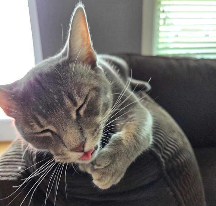 Photo of Lucy