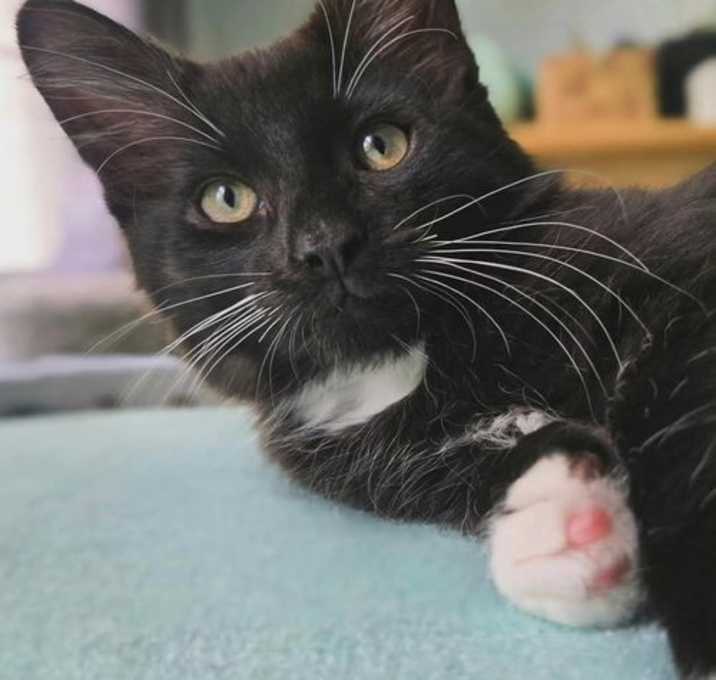 Photo of Bean