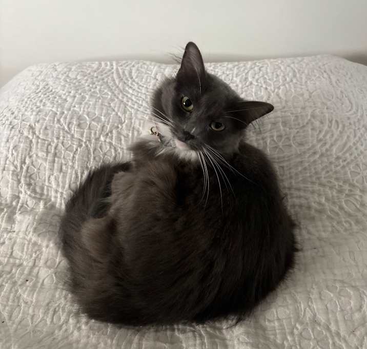 Photo of Mia