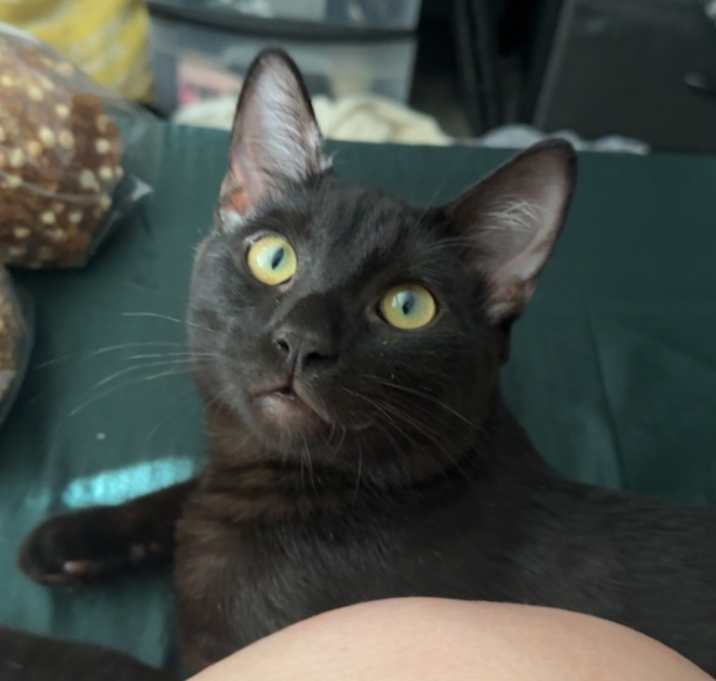 Photo of Sokka
