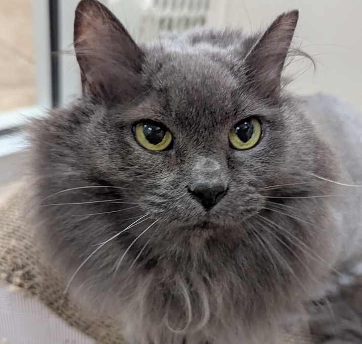 Photo of Thumper