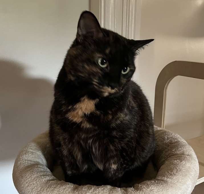 Photo of Gigi