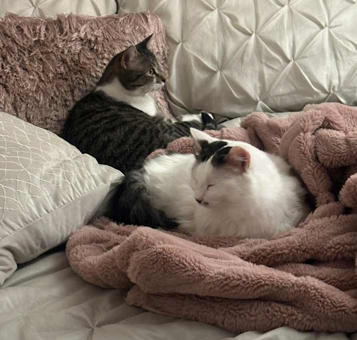 Photo of Monroe  and Delilah