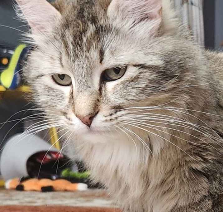 Photo of Mystery