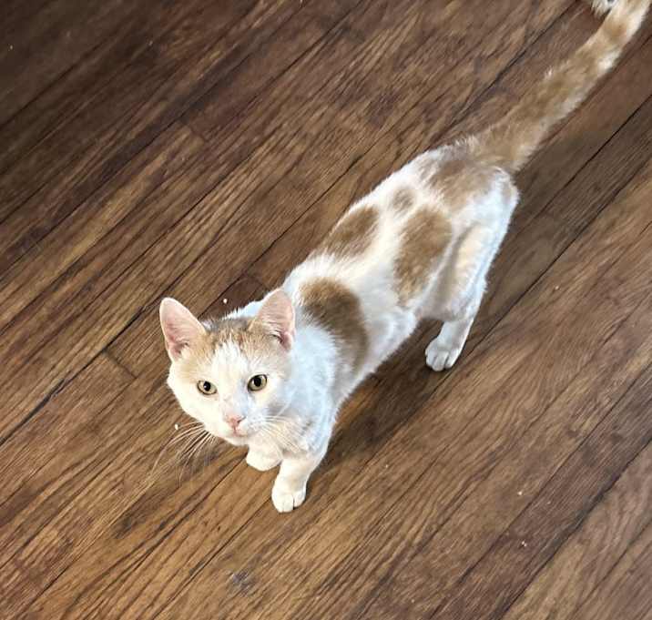 Photo of Sugar