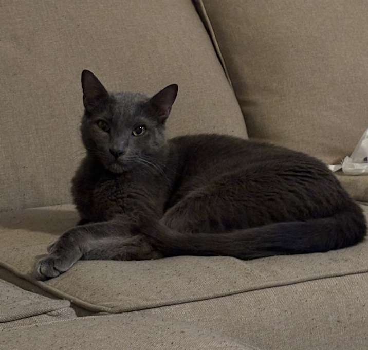 Photo of Max