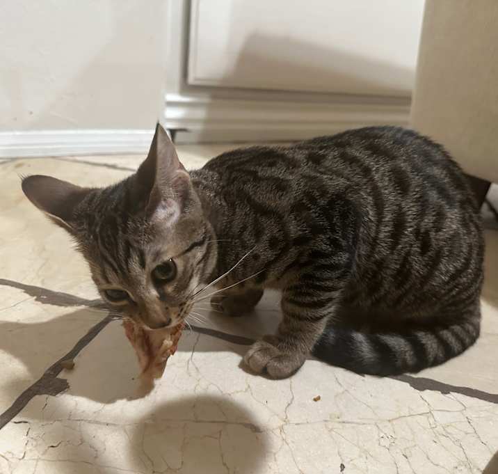 Photo of mimi