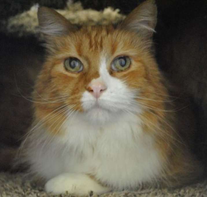 Photo of Franklin