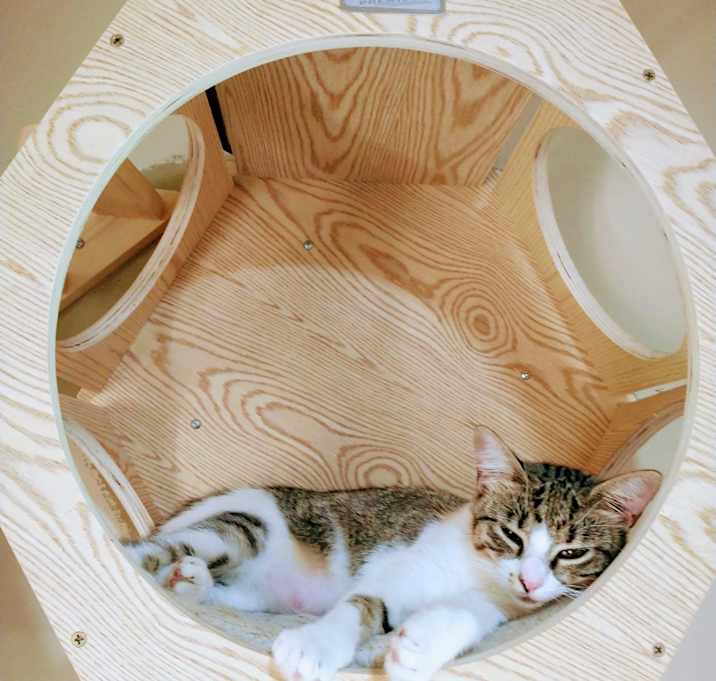 Photo of Lily