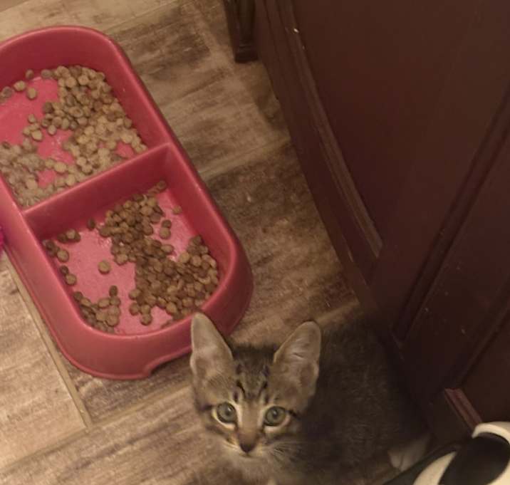 Photo of Rocket