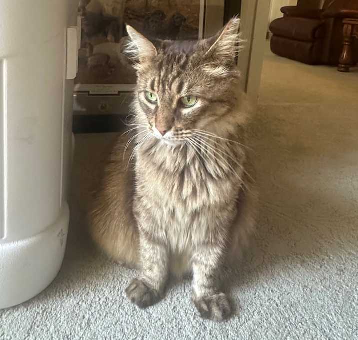 Photo of Yeti