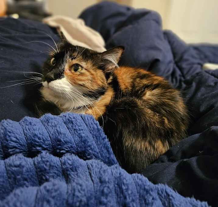 Photo of Selene