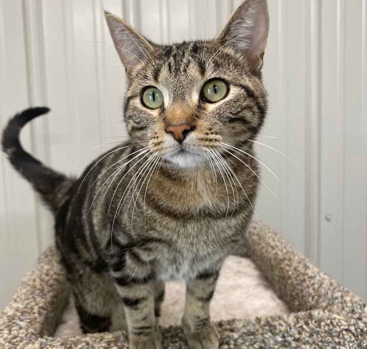 Photo of Talulah