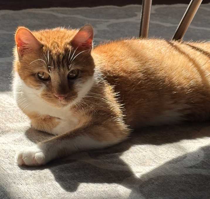 Photo of Cliff