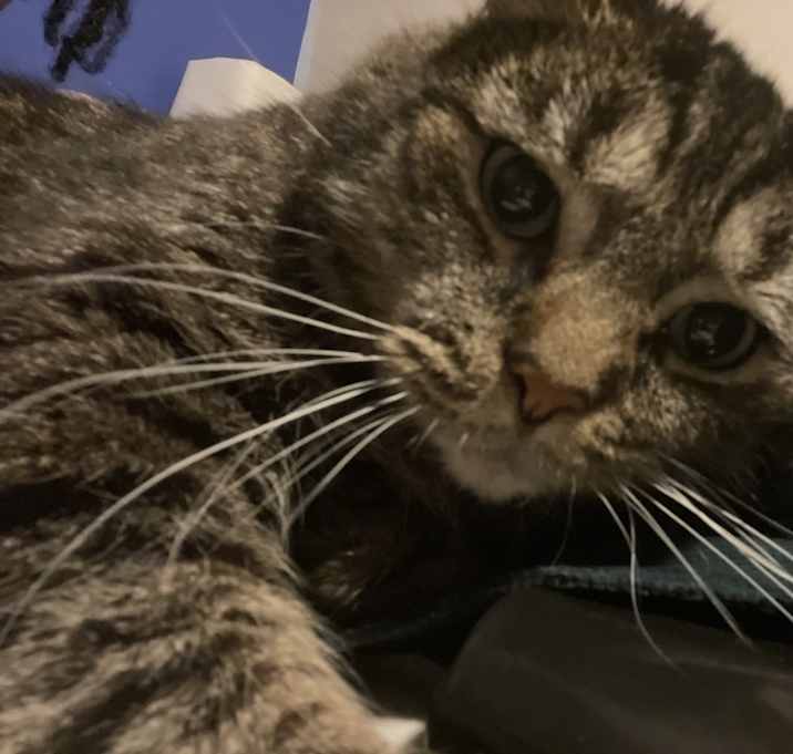 Photo of Tank