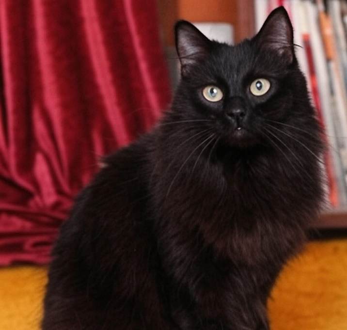 Photo of Seeley