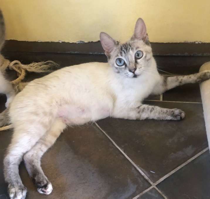 Photo of Yuki