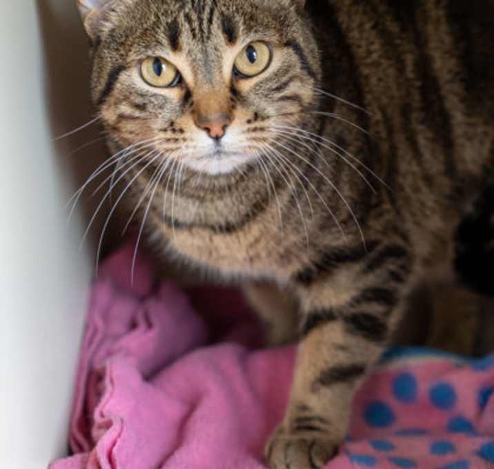 Photo of Rosita