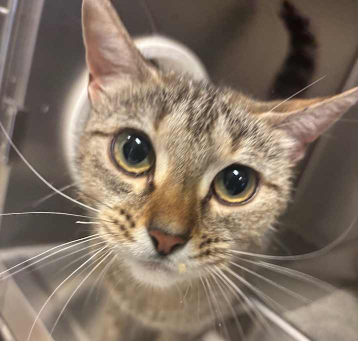 Photo of Clawdia