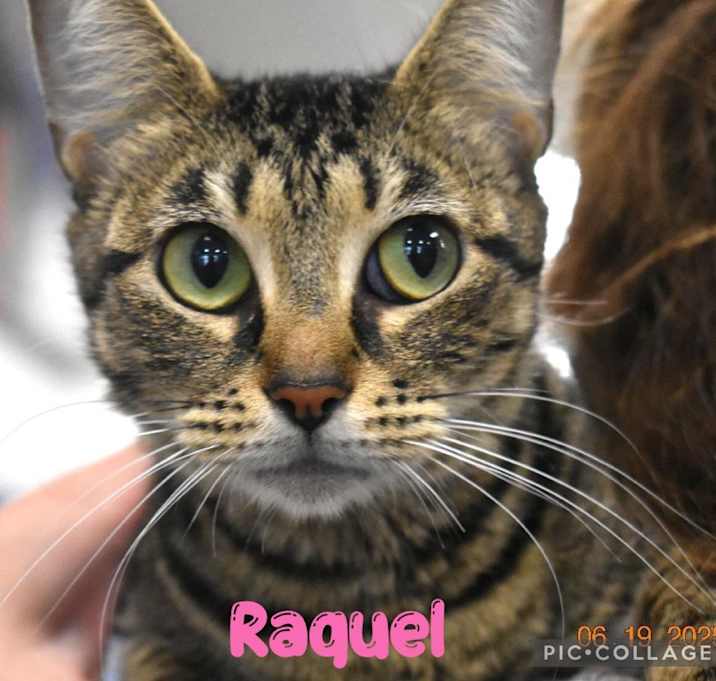 Photo of Raquel