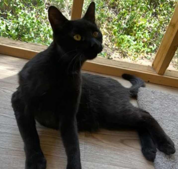Photo of Earl Grey