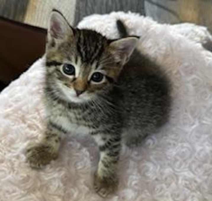 Photo of Sammy