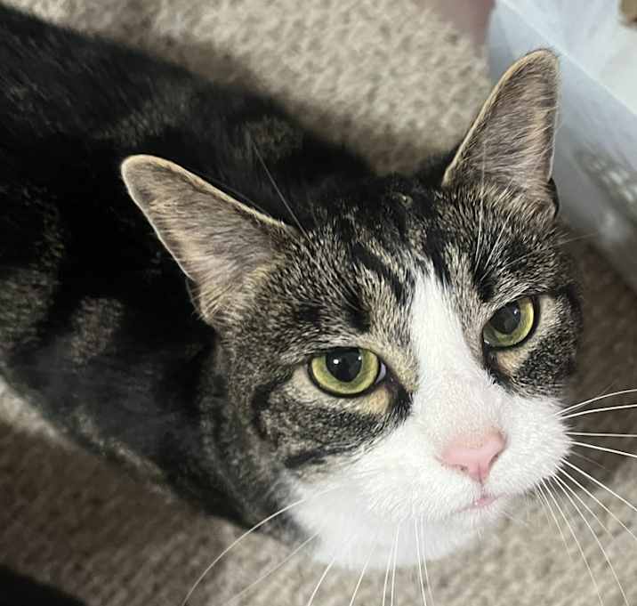 Photo of Oliver