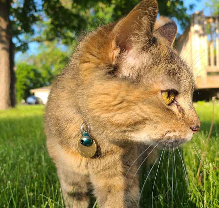 Photo of Tuesday
