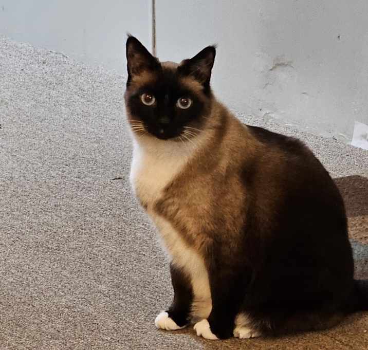 Photo of MR. T