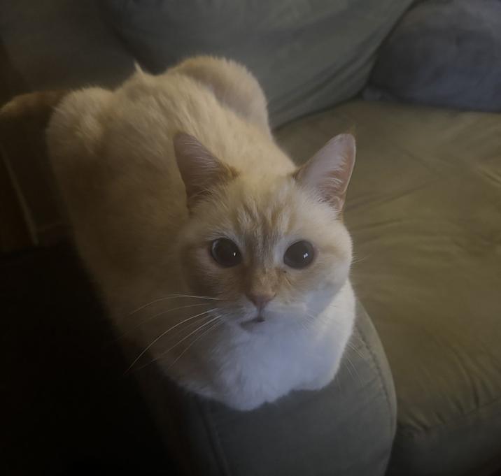 Photo of Blue