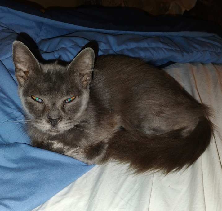 Photo of Pretty Girl