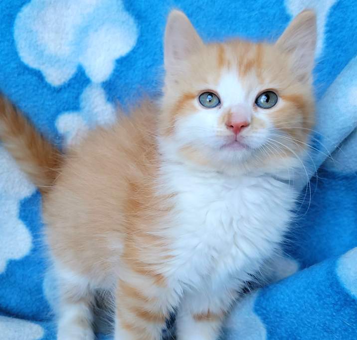 Photo of Precious