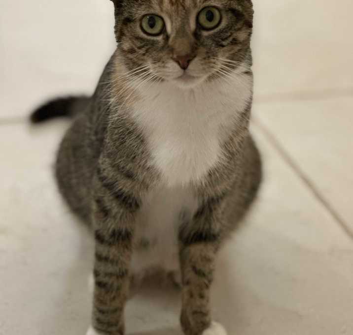 Photo of Lucy