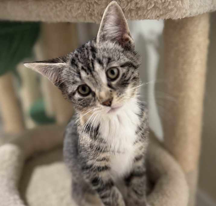 Photo of Ethel