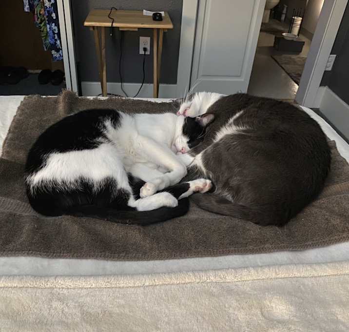 Photo of Dot & Dash