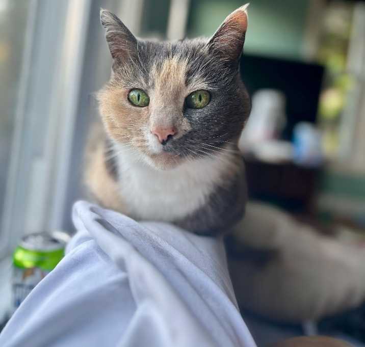 Photo of Minky
