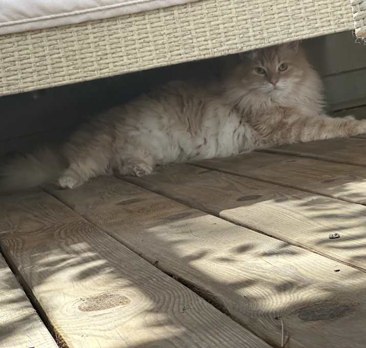 Photo of Eli