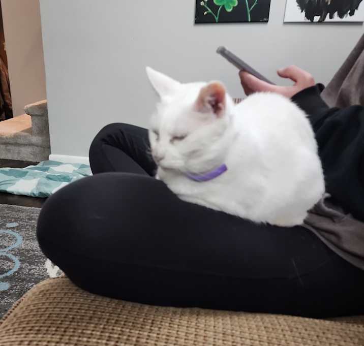 Photo of Ninja