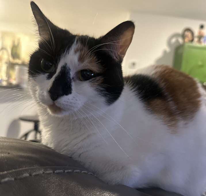 Photo of Lucy