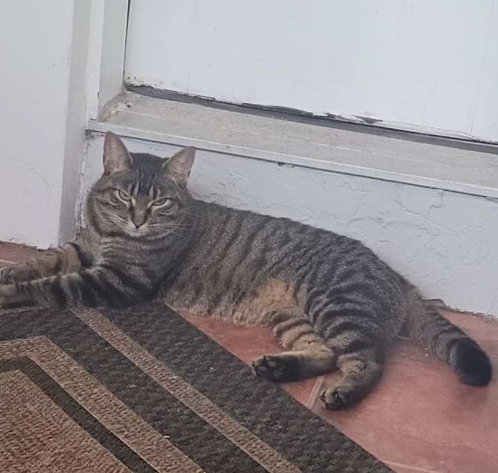 Photo of Roxy