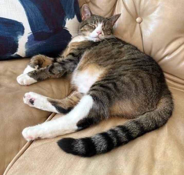 Photo of ELLA