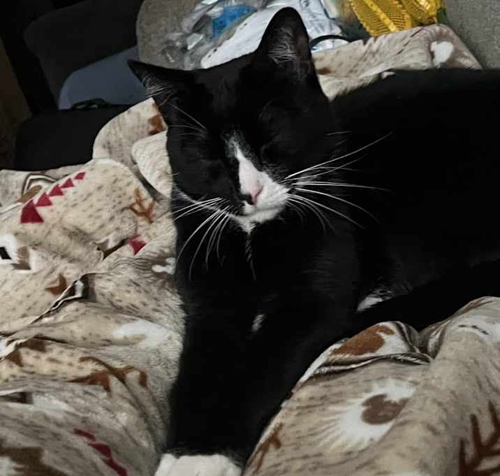 Photo of Abigail