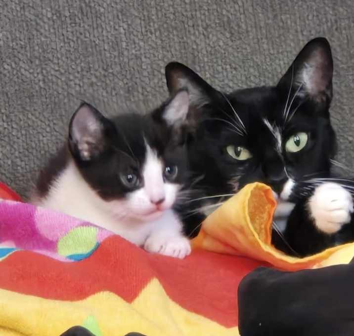 Photo of Mama and baby