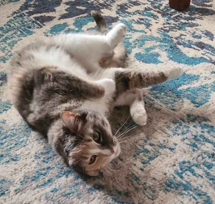 Photo of Meela